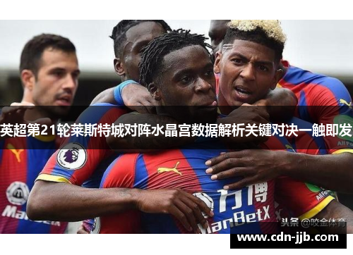 英超第21轮莱斯特城对阵水晶宫数据解析关键对决一触即发 英超第21轮莱斯特城对阵水晶宫数据解析关键对决一触即发