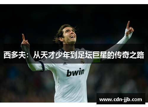 西多夫：从天才少年到足坛巨星的传奇之路