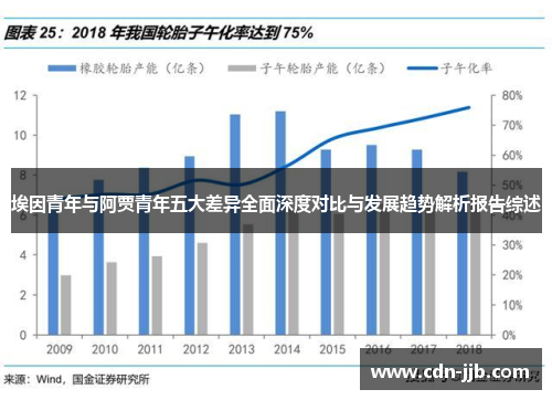 埃因青年与阿贾青年五大差异全面深度对比与发展趋势解析报告综述