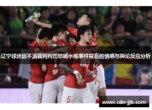 辽宁球迷因不满裁判判罚怒砸水瓶事件背后的情感与舆论反应分析