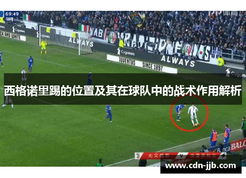 西格诺里踢的位置及其在球队中的战术作用解析 西格诺里踢的位置及其在球队中的战术作用解析