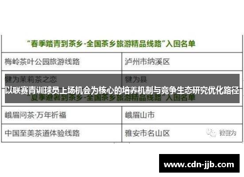 以联赛青训球员上场机会为核心的培养机制与竞争生态研究优化路径